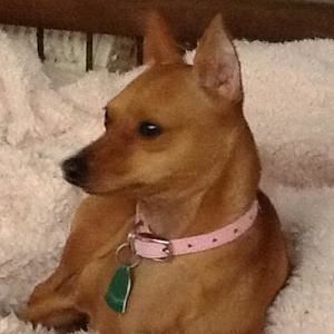 Meet your Posher, Donna